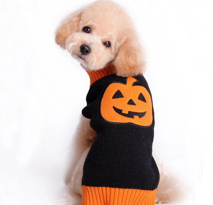 Halloween Pumpkin Sweater Pet