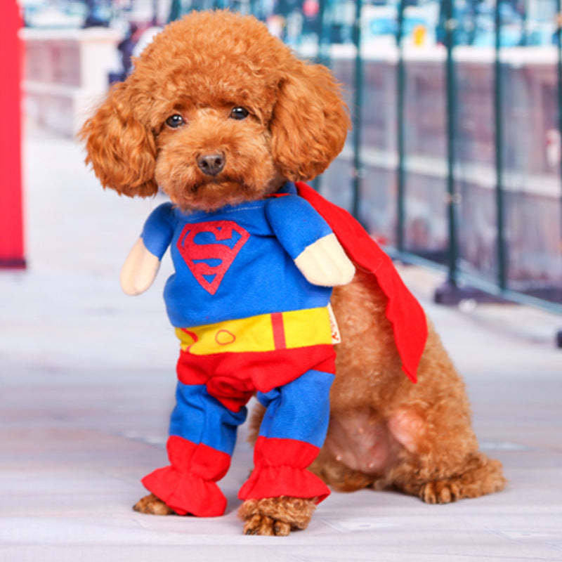 Super Dog Costume