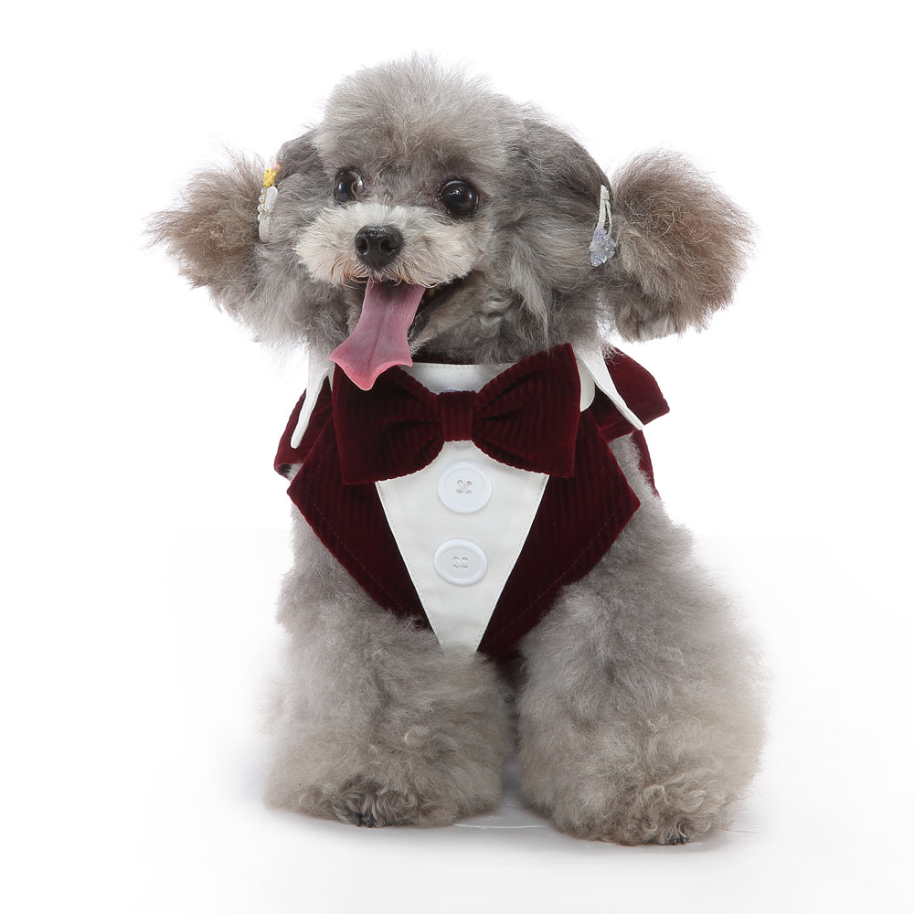 Fancy Pet Tuxedo