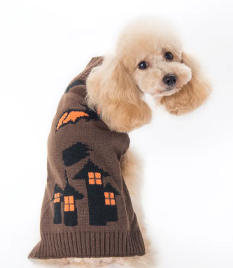 Halloween Pumpkin Sweater Pet