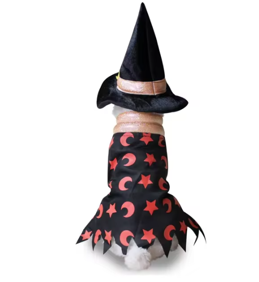 Halloween Pet Costumes