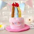 Birthday Cake Hat for Spoiled Pets