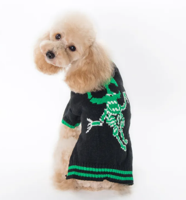 Halloween Pumpkin Sweater Pet