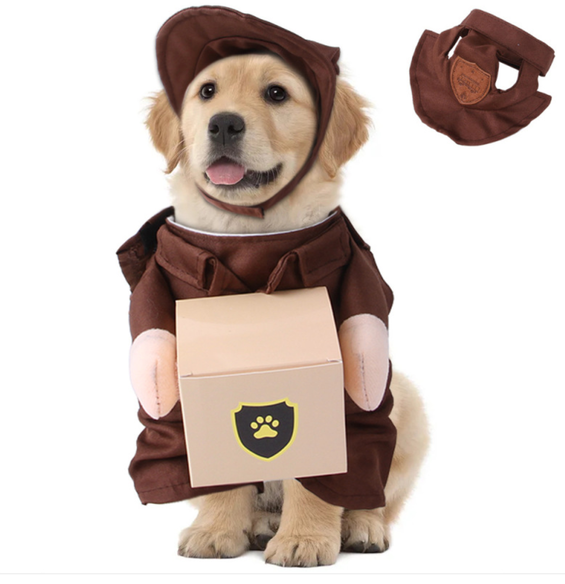 Pet Delivery Courier Costume