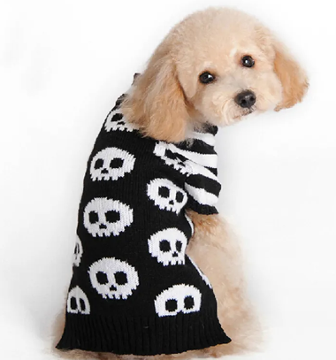Halloween Pumpkin Sweater Pet
