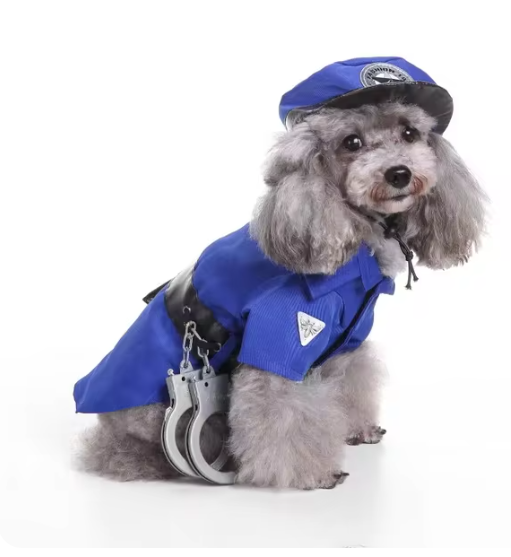 Halloween Pet Costumes