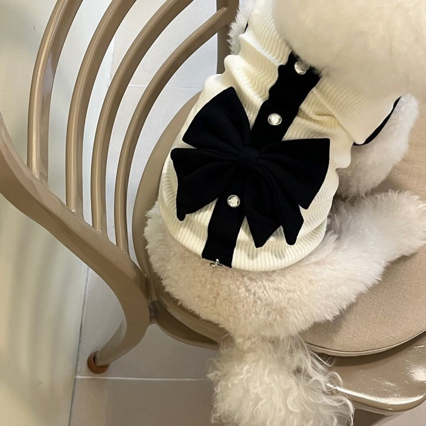 Elegant Black and White Pet Outfit