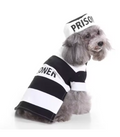 Halloween Pet Costumes