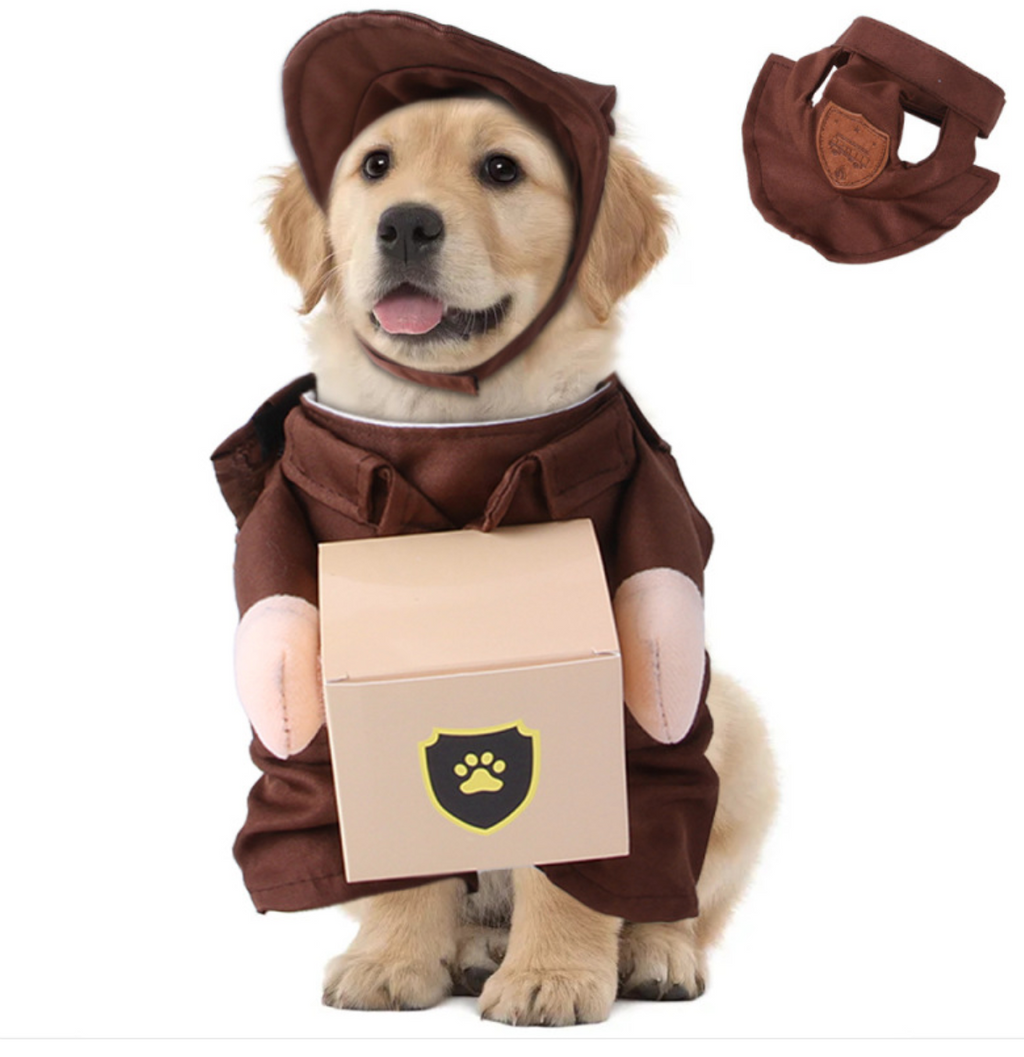 Pet Delivery Courier Costume